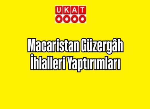 *Macaristan Güzergâh İhlalleri Yaptırımları*