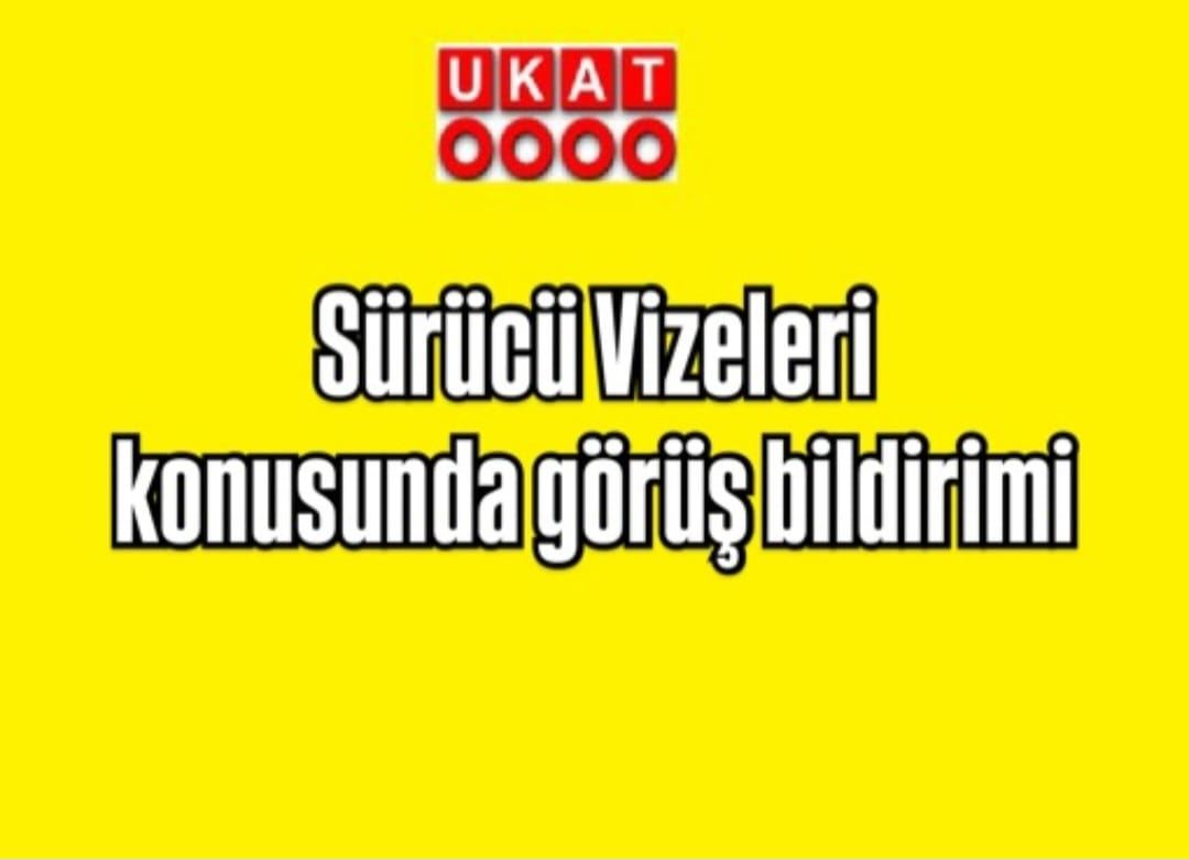 Sürücü Vizeleri konusunda görüş bildirimi