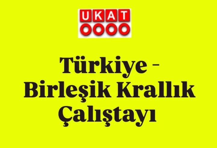 Türkiye-Birleşik Krallık Çalıştayı